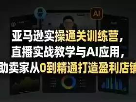 亚马逊实操通关训练营,直播实战教学与AI应用,助卖家从0到精通打造盈利店铺(更新5月8日)