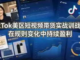 TikTok美区短视频带货实战训战营：在规则变化中持续盈利